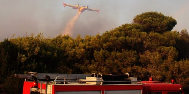 Υπό μερικό έλεγχο η φωτιά στις Ερυθρές Αττικής. Πυρκαγιά και στην Κρήτη