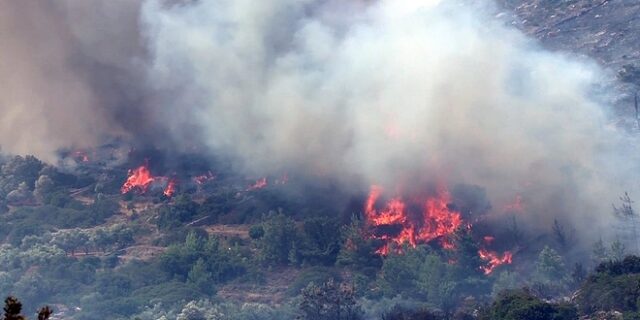 Σε εξέλιξη πυρκαγιά στην Αργολίδα