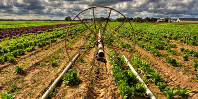 Αποστόλου: Δεν μπορεί να μπει ΕΝΦΙΑ σε αγροτικές εκτάσεις στην λογική οικοπέδων