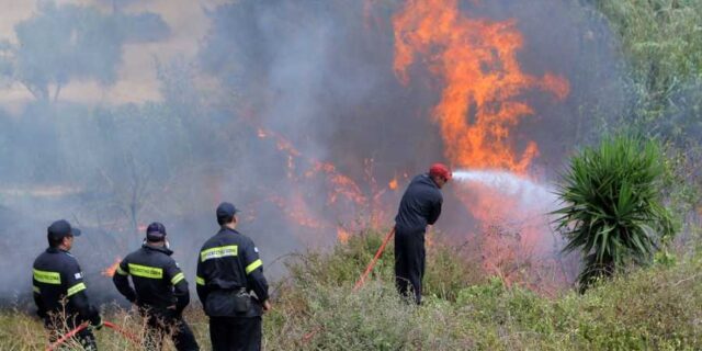 Λέρος: Υπό έλεγχο η πυρκαγιά στην περιοχή Παρθένι
