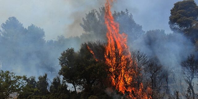 Πάρνωνας: Στάχτη 150 στρέμματα δάσους