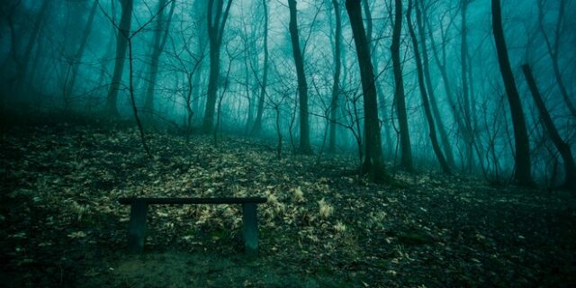 Μηχανή του χρόνου: Το πιο τρομακτικό δάσος που κανείς δεν τόλμησε να διασχίσει και το πιο ‘όμορφο πεύκο’