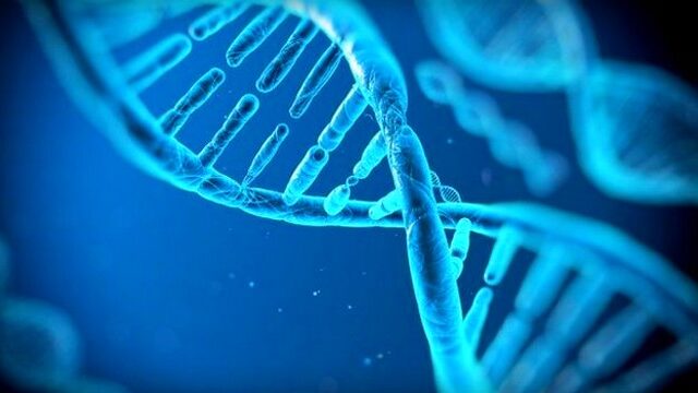 Κατέγραψαν το ιστορικό του DNA των ανθρώπινων κυττάρων