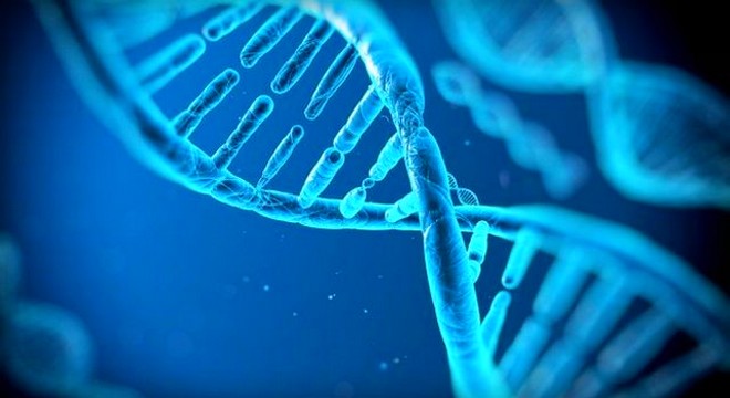 Κατέγραψαν το ιστορικό του DNA των ανθρώπινων κυττάρων