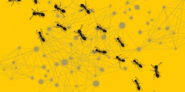 Μια αποικία μυρμηγκιών, ο οδηγός για την εξέλιξη των υπολογιστικών δικτύων!