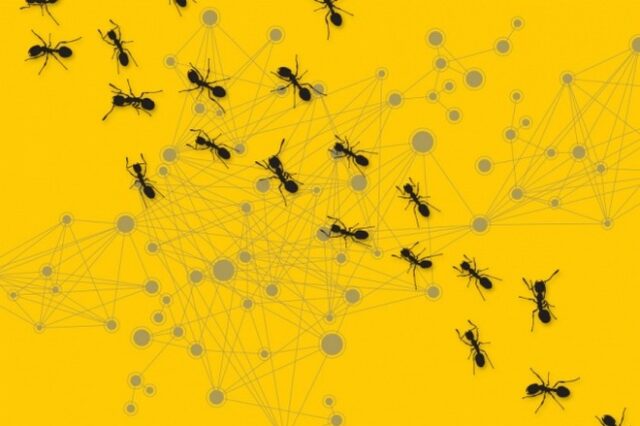 Μια αποικία μυρμηγκιών, ο οδηγός για την εξέλιξη των υπολογιστικών δικτύων!