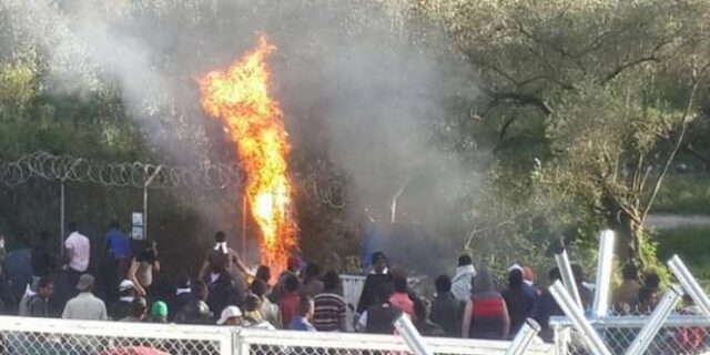 Πάλλης: Οι φασίστες σύντομα θα γυρίσουν στο καβούκι τους