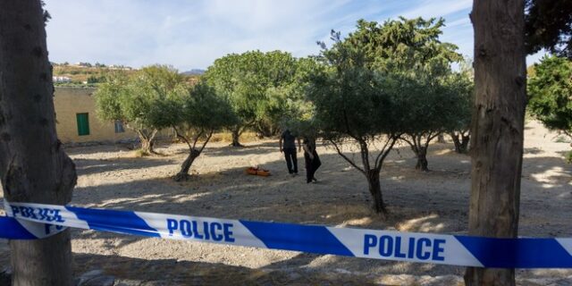 Μικρός Μπεν: Στο μικροσκόπιο δέντρα που φυτεύτηκαν μετά την εξαφάνισή του