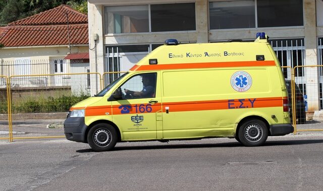 Σκύλος δάγκωσε μαθήτρια στο κεφάλι έξω από σχολείο