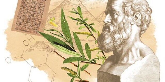 Μηχανή του Χρόνου: Πώς ο Ιπποκράτης ανακάλυψε τις ευεργετικές ιδιότητες της ασπιρίνης