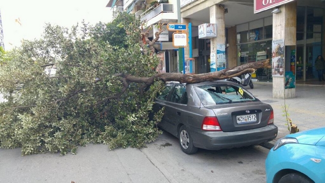Θυελλώδεις άνεμοι πλήττουν την Αττική. 105 κλήσεις για κοπές δέντρων
