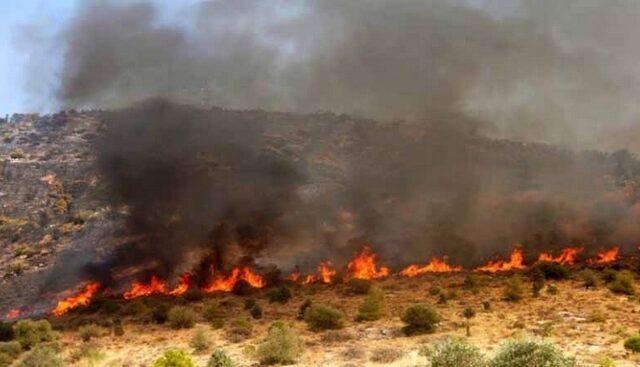 Ένας νεκρός σε φωτιά σε χωράφι στο Κορωπί