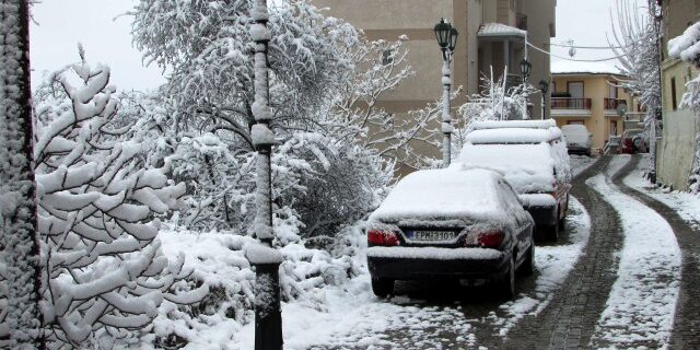 Κρύο και χιόνι: Οι πρώτες νιφάδες έπεσαν στον Χορτιάτη