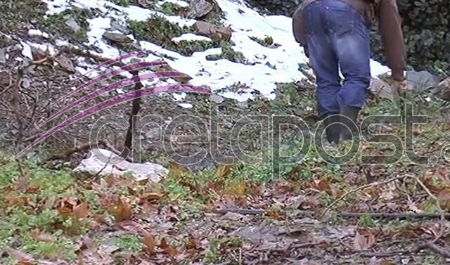 Φόνος 40χρονου στο Ηράκλειο. Συνελήφθη ο συνέταιρος του