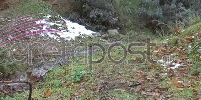 Τρία άτομα πίσω από την άγρια δολοφονία γνωστού επιχειρηματία
