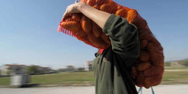 Εμπορεύονταν επί χρόνια εισαγόμενες πατάτες που τις πωλούσαν για ελληνικές