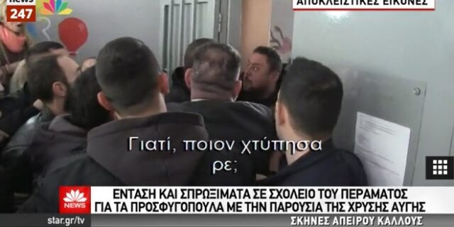 Η ΧΑ βλάπτει σοβαρά την πατρίδα