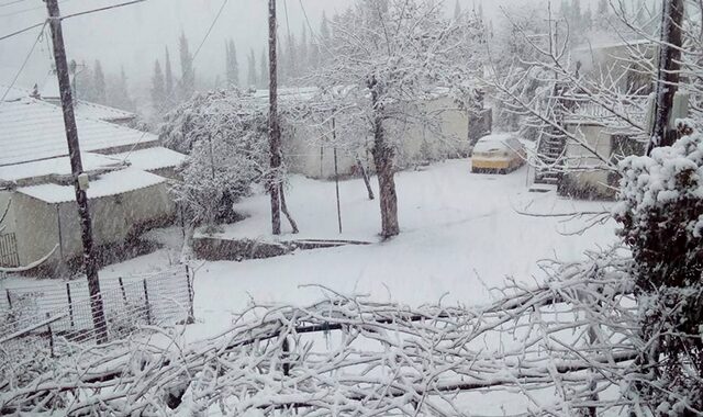 Χιόνια παντού. Πρωτόγνωρες θερμοκρασίες στην Κεντρική Ελλάδα, κυκλοφορία με προβλήματα