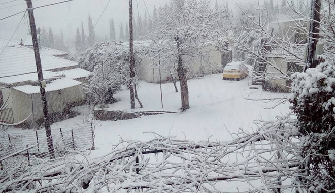 Χιόνια παντού. Πρωτόγνωρες θερμοκρασίες στην Κεντρική Ελλάδα, κυκλοφορία με προβλήματα