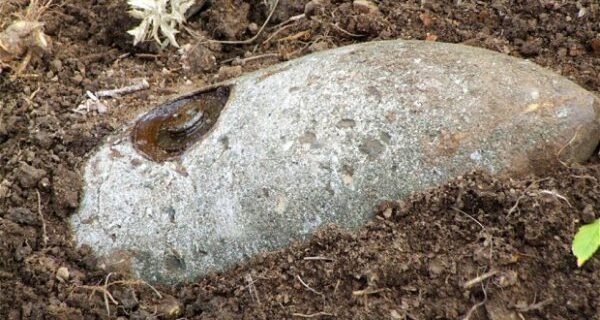 Εξουδετέρωση βόμβας στο Κορδελιό: Θα απομακρυνθούν 50.000 άτομα