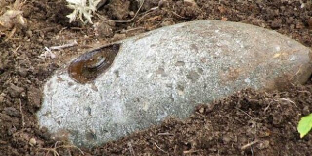 Κορδελιό: Σε σχολεία και γυμναστήρια οι 60.000 κάτοικοι