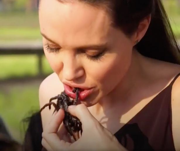 Βίντεο: H Αντζελίνα Τζολί τρώει με τα παιδιά της ταραντούλες και σκορπιούς
