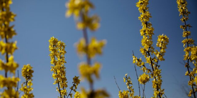 Έως 21 βαθμούς η θερμοκρασία στην Αττική