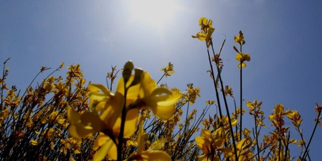 Ηλιοφάνεια και μικρή άνοδος θερμοκρασίας