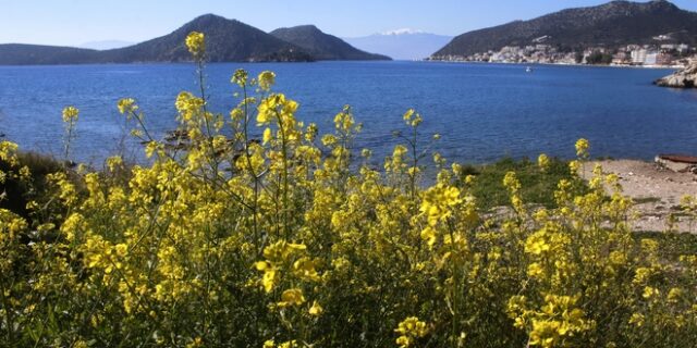 Ανοιξιάτικος ο καιρός της εβδομάδας