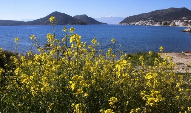Ανοιξιάτικος ο καιρός της εβδομάδας