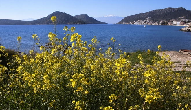 Ανοιξιάτικος ο καιρός της εβδομάδας