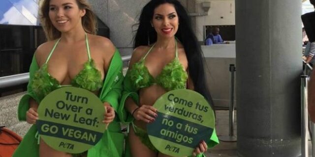 Γιατί τα μοντέλα στην Αβάνα έκρυψαν τα στήθη τους με φύλλα μαρουλιού;