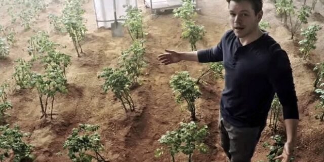 Πατατούλες από τον Άρη