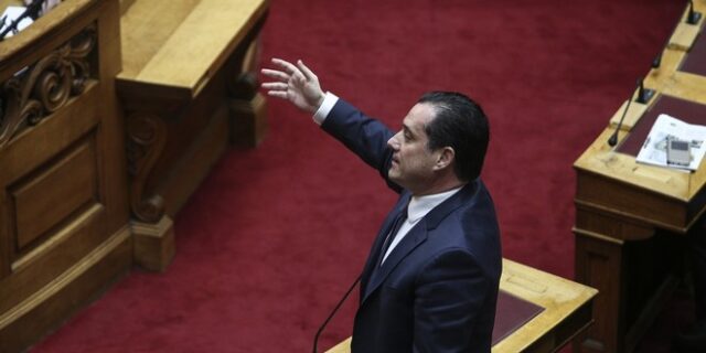 Ο Γεωργιάδης ‘παγώνει’ τους καραμανλικούς
