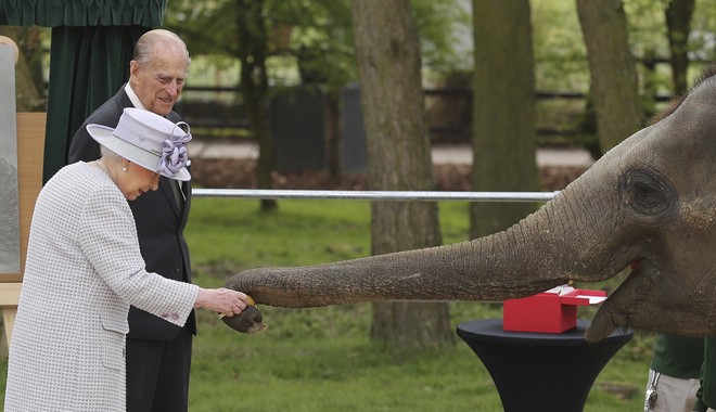 Η βασίλισσα Ελισάβετ τάισε μπανάνες έναν ελέφαντα