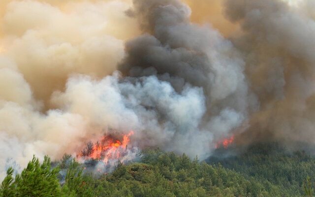 Ζάκυνθος: Πυρκαγιά καίει αιωνόβιο πευκοδάσος στις Μαριές
