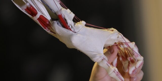 Κινέζος μηχανικός παντρεύτηκε το ρομπότ που κατασκεύασε