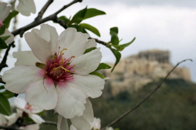 H Αθήνα κορυφαίος προορισμός στην Ευρώπη, για ταξίδια πόλεως