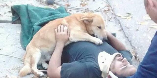 Αυτό που κάνει ο Tony για το αφεντικό του, θα σε κάνει να δακρύσεις