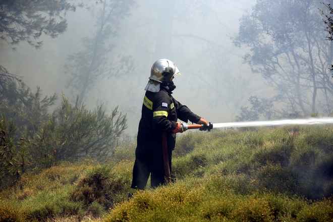 Σπάρτη: Φωτιά σε δασική έκταση στην Ανατολική Μάνη