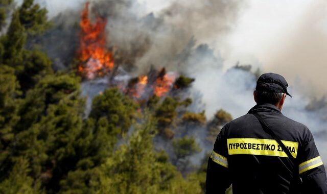 Σε ύφεση οι φωτιές σε Νέα Μάκρη και Κερατέα