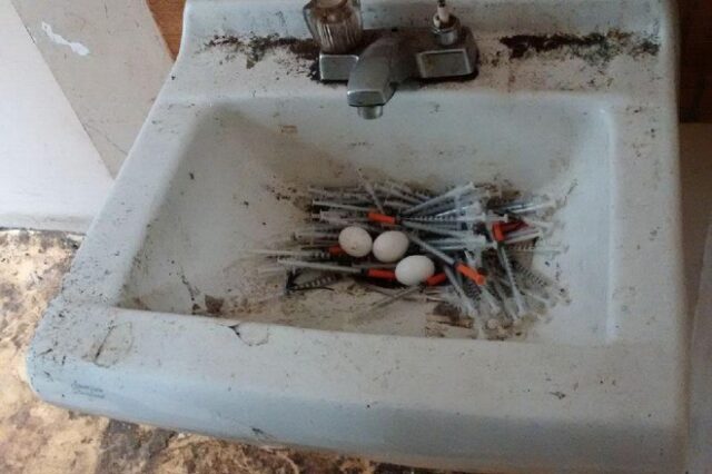 Απίστευτο: Περιστέρια έφτιαξαν φωλιά από σύριγγες τοξικομανών