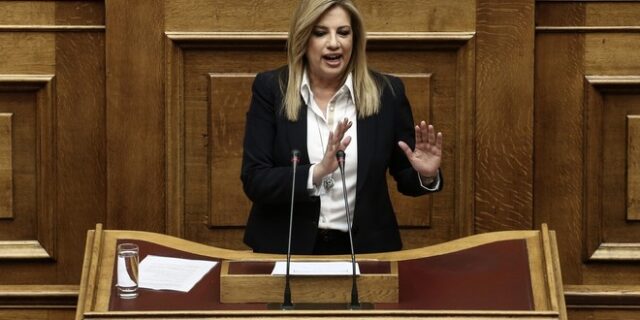Φώφη Γεννηματά: Η αβεβαιότητα και η ανασφάλεια καλά κρατούν