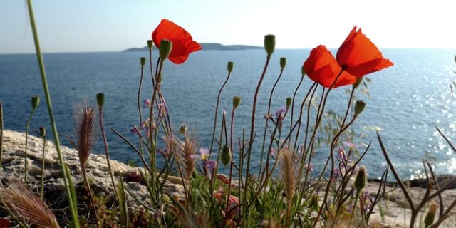 Καιρός: Στους 29 βαθμούς ο υδράργυρος