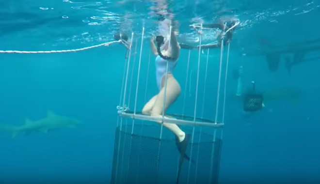 Καρχαρίας δάγκωσε πορνοστάρ που γύριζε υποθαλάσσιο βίντεο