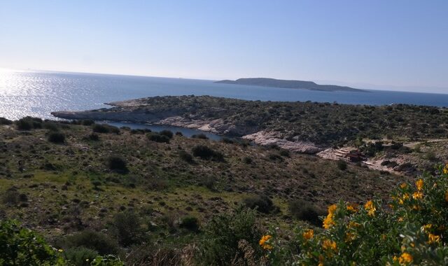 Ισόβια για τον φόνο του άνδρα με τα τατουάζ στα Λιμανάκια
