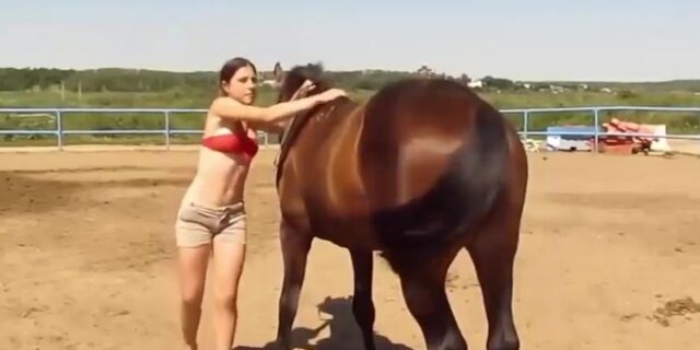 Ένα βίντεο που αποδεικνύει πόσο έξυπνα ζώα είναι τα άλογα