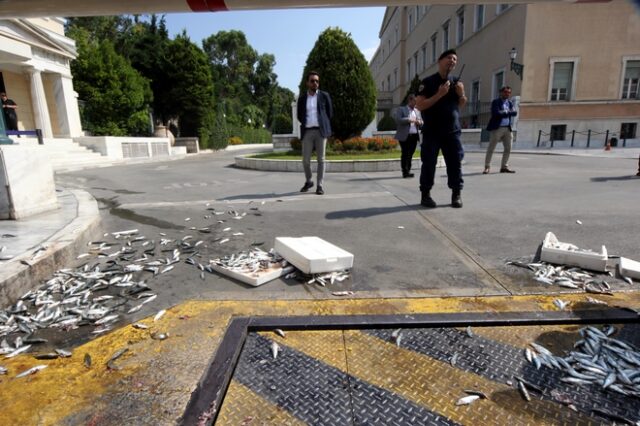 Διαμαρτυρία ΠΑΜΕ: Πέταξαν ψάρια στη Βουλή