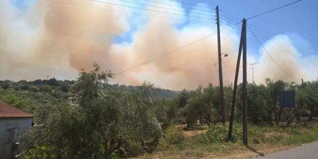 Σε ύφεση οι πυρκαγιές σε Κορώνη και Κρυονέρι