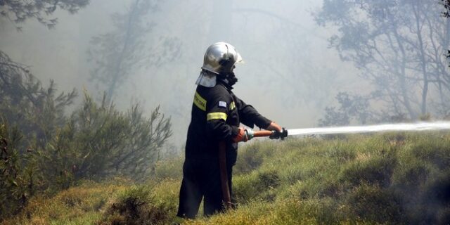 Αλεξανδρούπολη: Υπό μερικό έλεγχο η φωτιά στη Λευκίμη